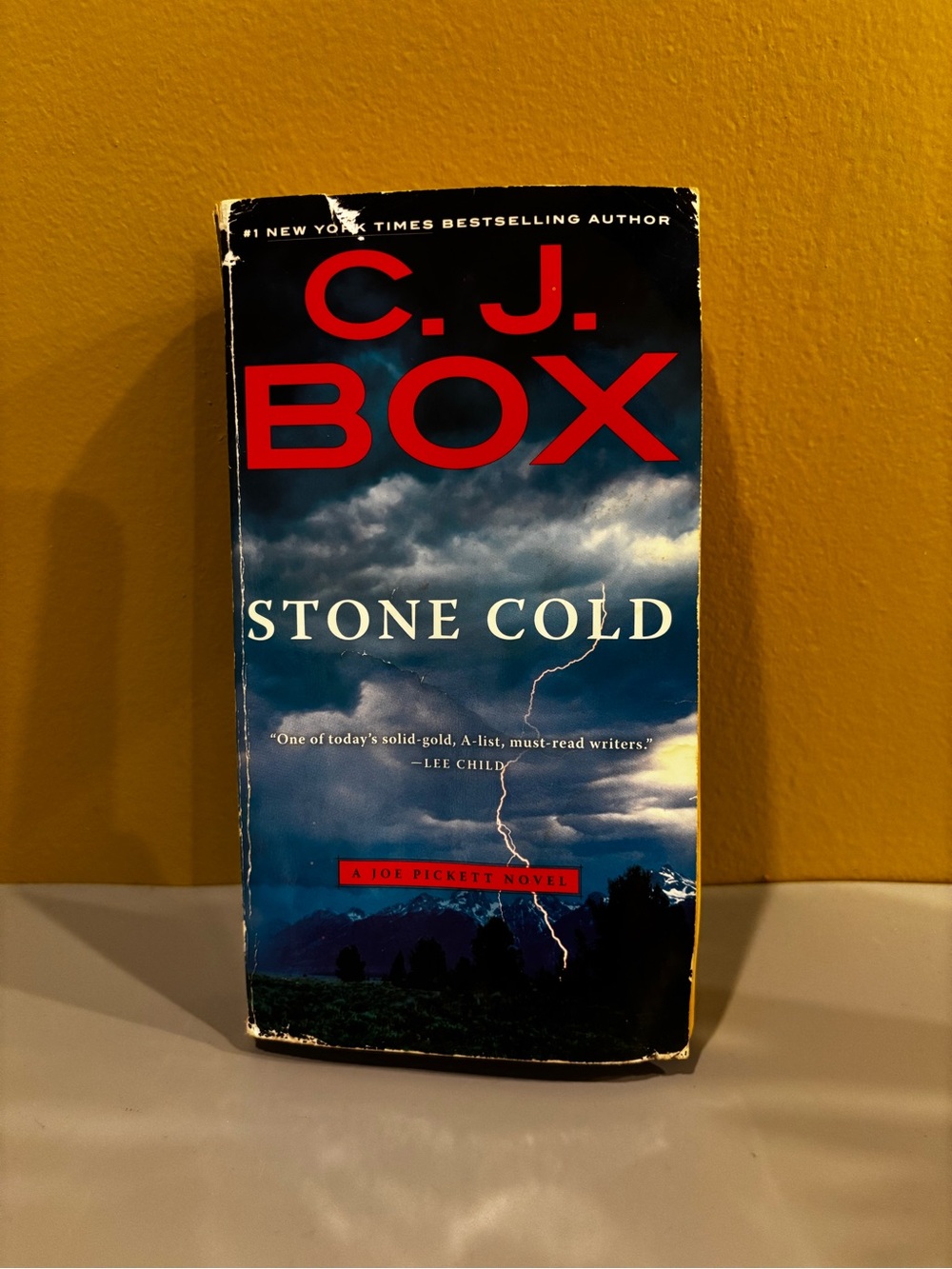 C.J. Box Stone Cold Paperback